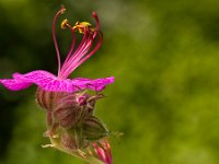 2013.06.09_130525_Rundfahrt Schongau.jpg